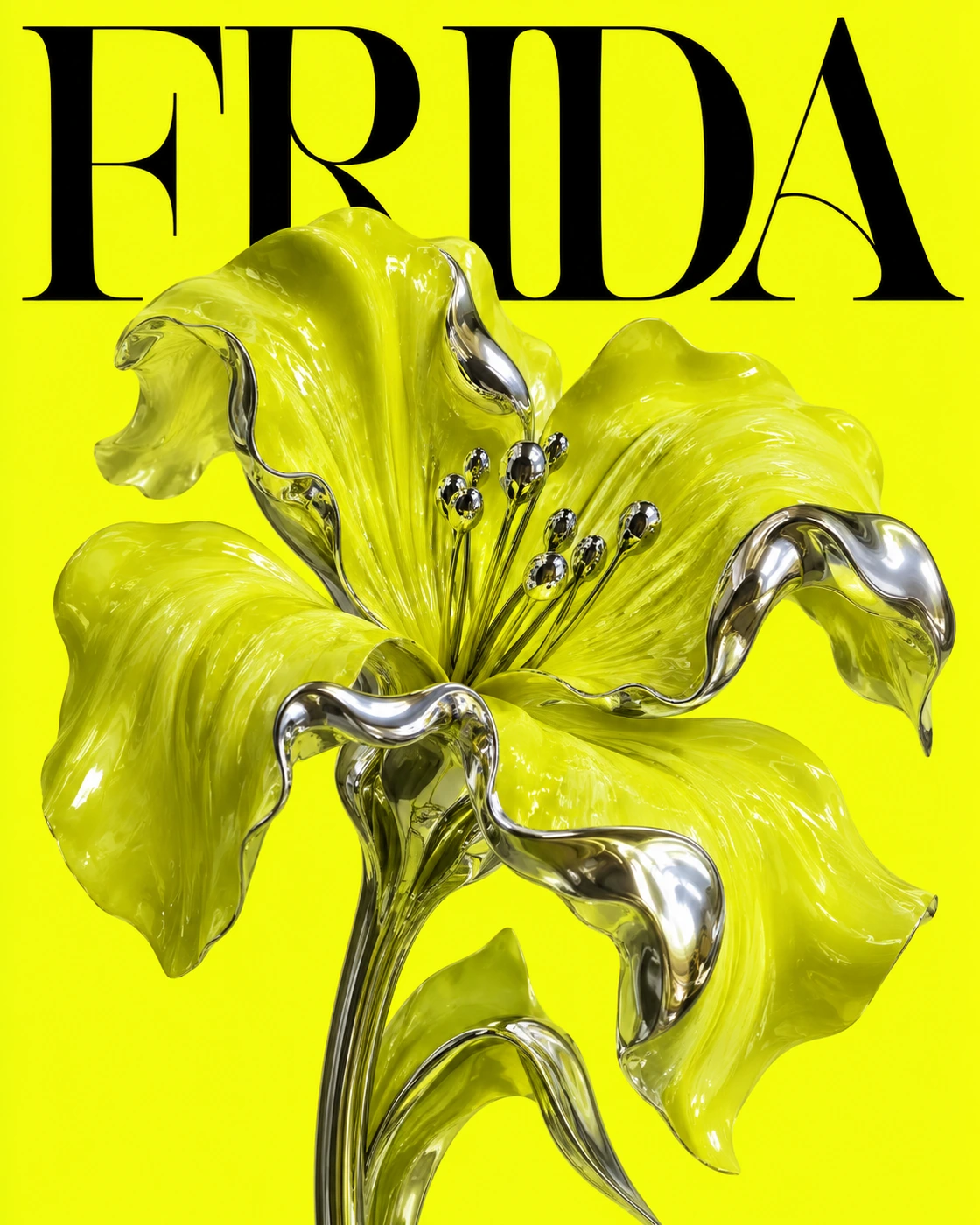 FRIDA — Brand website: project poster